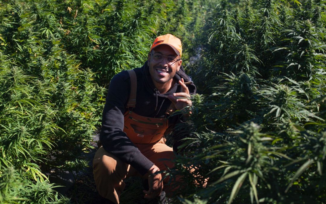 Why Damian Fagon Wants More Black People to Become Cannabis Farmers