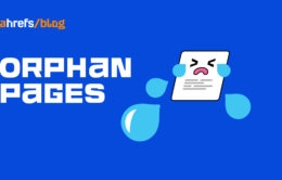 How to Find and Fix Orphan Pages (The Right Way)