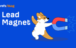 17 Lead Magnet Examples + Tips on Topics & Traffic Sources