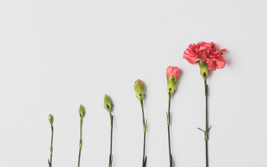 Growing My Business Too Fast Caused Me to Redefine Growth Entirely