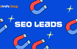 SEO Leads: A 6-Step Guide on How to Get SEO Clients