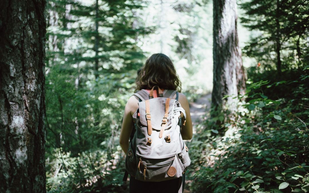Why I Think More Mission-Driven Founders Should Start Businesses Instead of Nonprofits