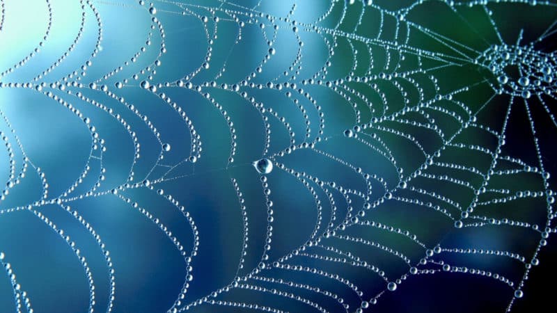 Webinar: Think spiderwebs, not funnels, for remarkable SEO results by Cynthia Ramsaran