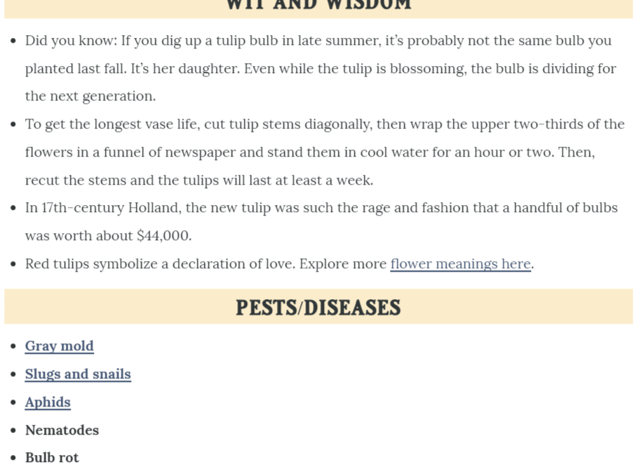 How to create a guide that is optimized, useful and comprehensive