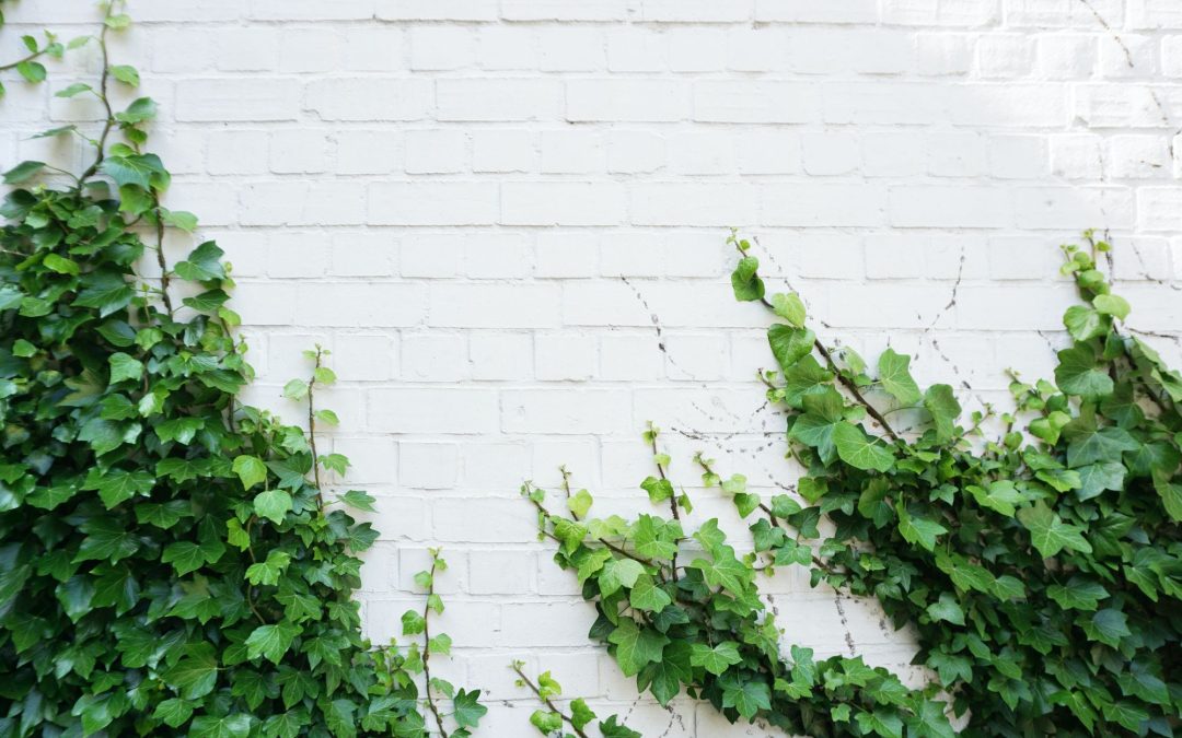 Bootstrapping a Business to $1 Million in 1.5 Years by Putting Profitability First