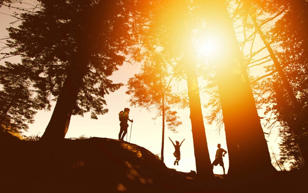 4 Tips from Top Social Media Managers to Grow Your Online Business