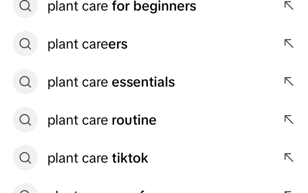 TikTok SEO: how to boost your reach