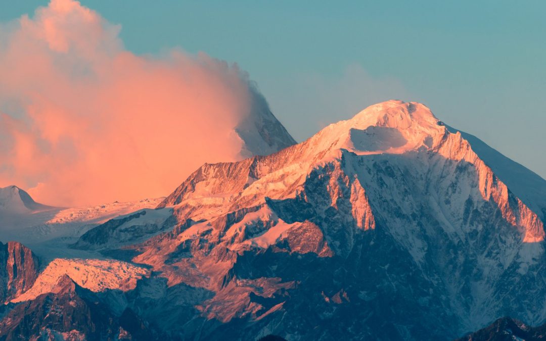 Aligning Purpose and Profit Isn’t Just a Nice Idea—It’s Helping Me Build a $500,000 Per Year Business