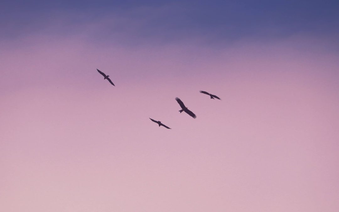 How I Came to Be a Freelancer: A Journey of Chronic Illness and Independence