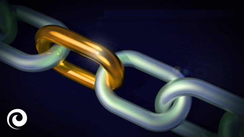 Top link-building insights heading into 2024 by Internet Marketing Ninjas