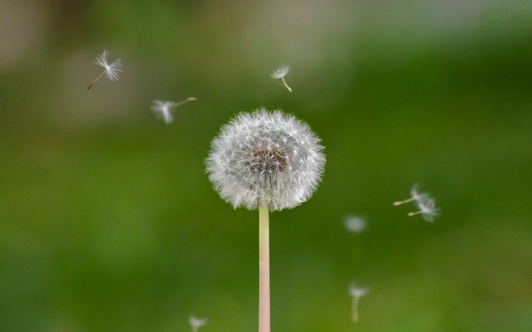How I Repurpose Blog Content into LinkedIn Posts to Expand My Reach