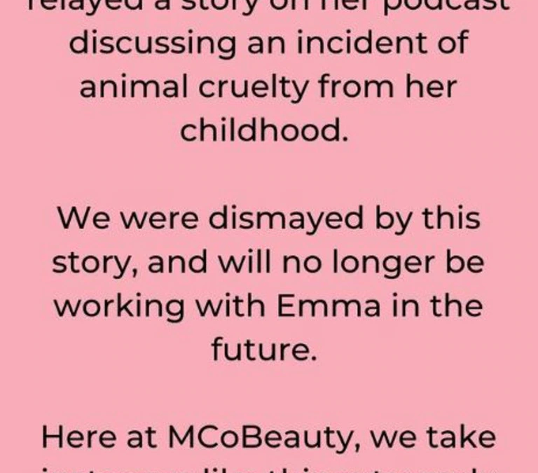 6 influencer marketing brand safety considerations to bake into your strategy